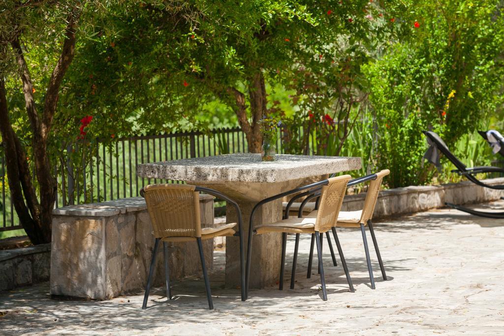 Olive Tree Villa Herceg Novi Dış mekan fotoğraf